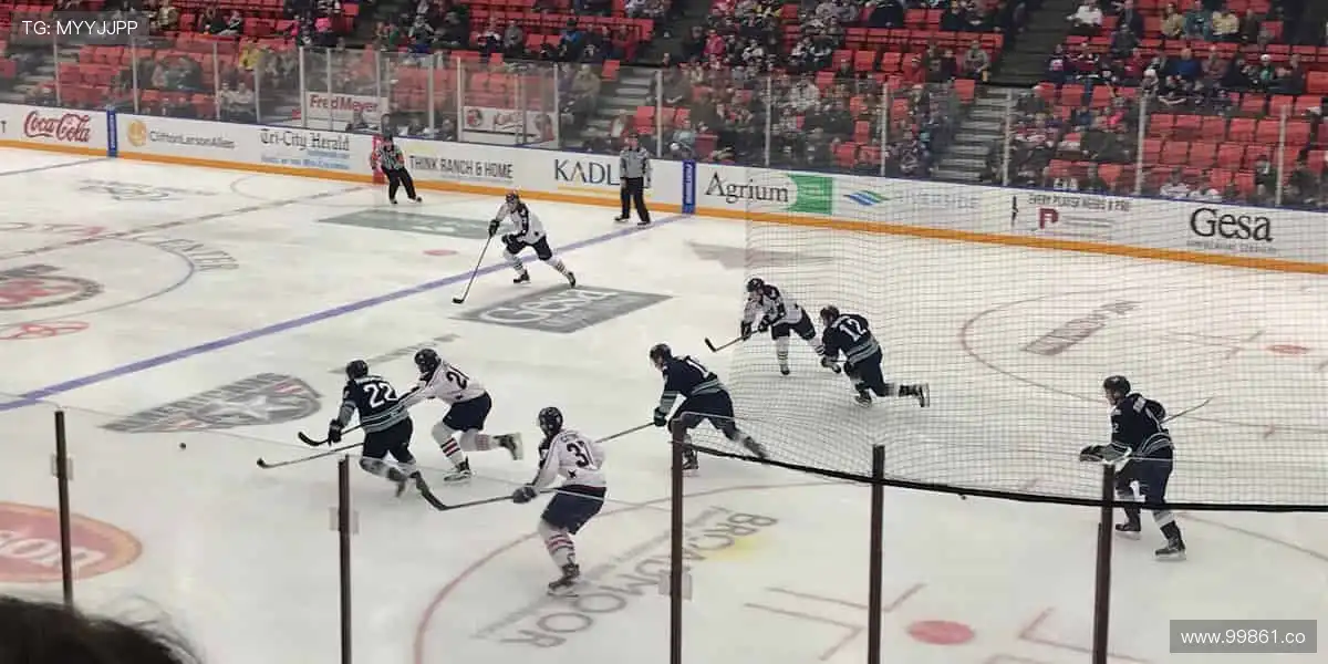 🏋️ 专业品质,助力每一次突破!💪